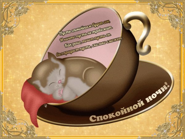 Прикольные пожелания спокойной ночи