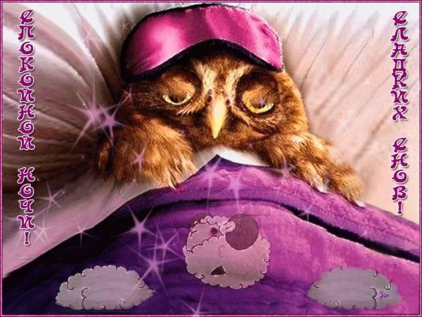 Сладких снов картинки