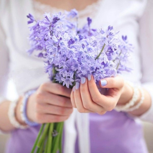 Открытки с комплиментами женщине