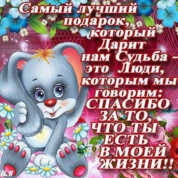 Цветы прекрасному человеку