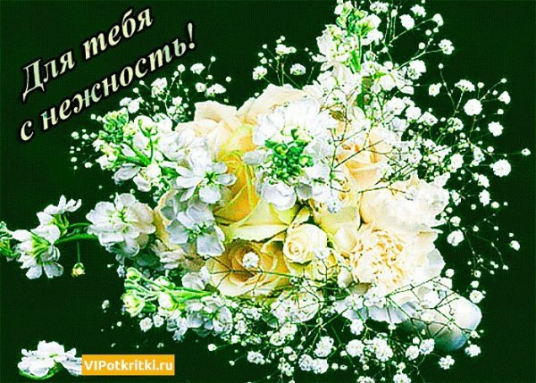 Пожелания добрые и красивые для женщин