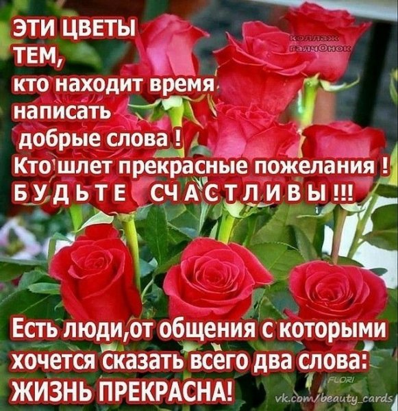 Красивые открытки