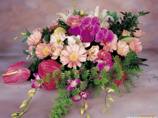 Открытки с цветами красивые