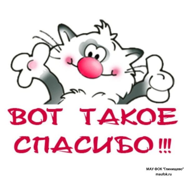 Вот такое спасибо