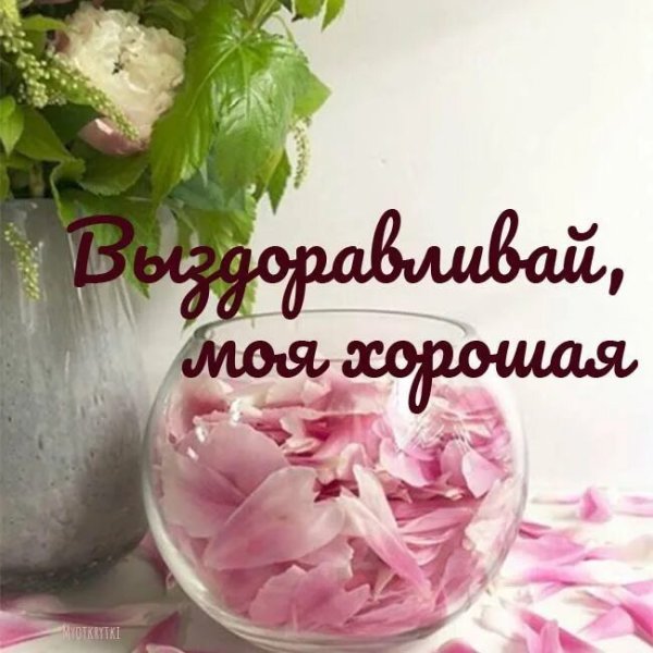 Пожелания выздоровления