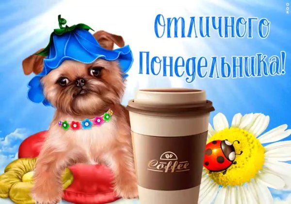 Хорошего понедельника прикольные