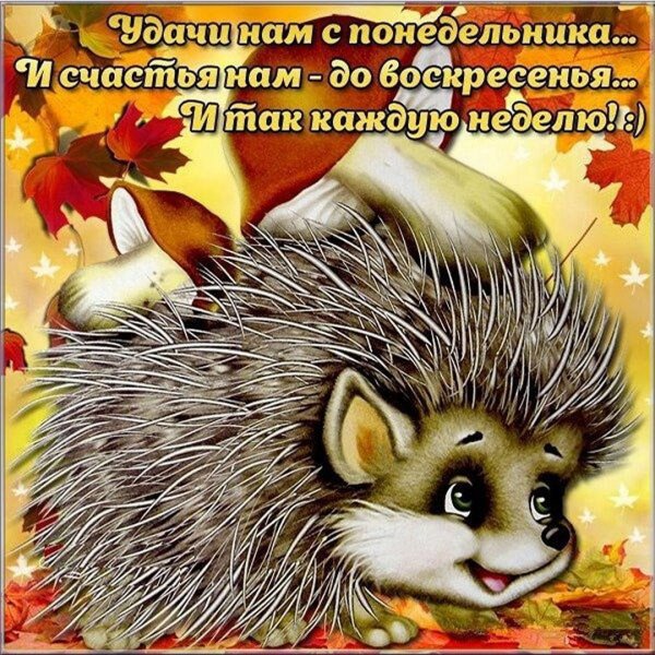 Открытки с понедельником