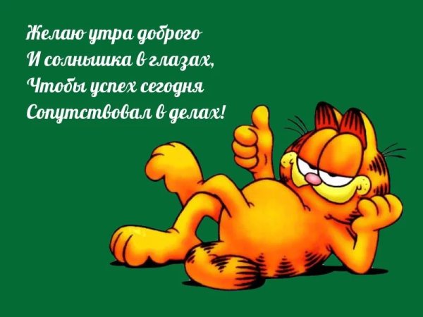 Доброе утро понедельника прикольные