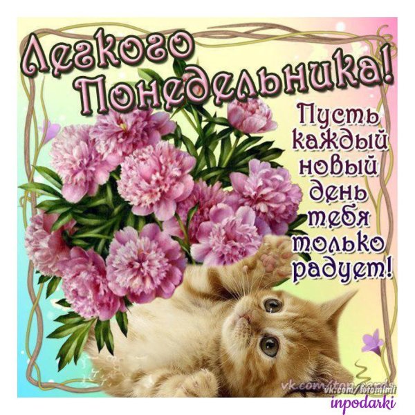Поздравление с понедельником прикольное