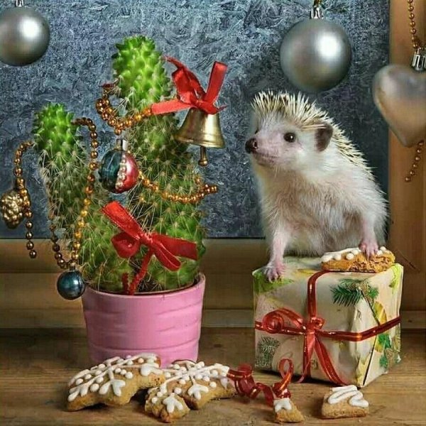 Ёжики Елена Ерёмина 2020