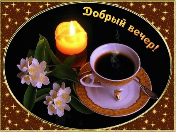 Стикеры добрый вечер красивые