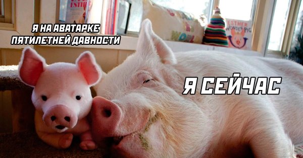 Международный день спасибо 11 января