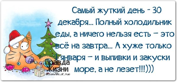 Новый год приколы