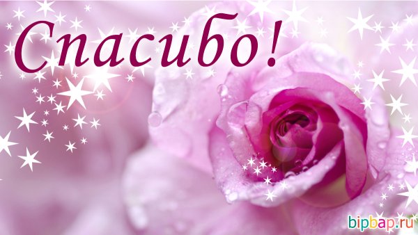 Спасибо картинки красивые