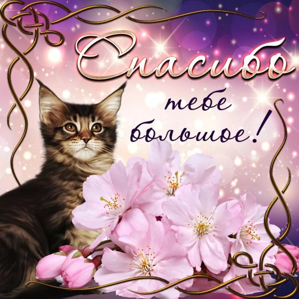 Открытки с благодарностью спасибо