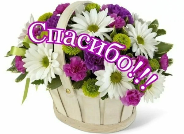 Спасибо цветы