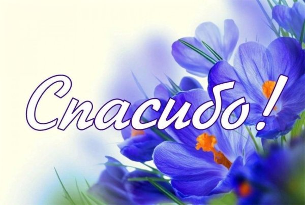 Красивая открыточка со словом спасибо