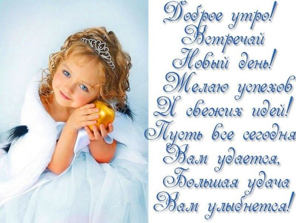 Открытки с добрым утром с юмором