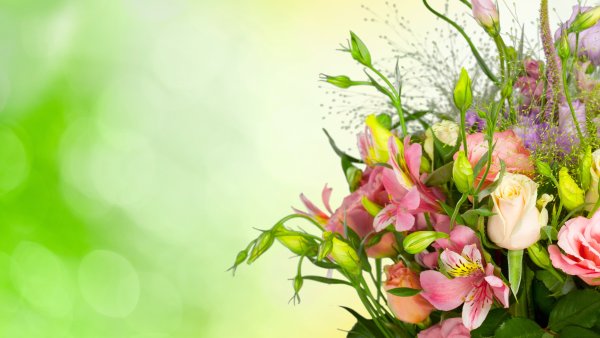 Открытка цветы