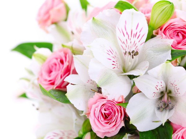 Красивые поздравительные букеты