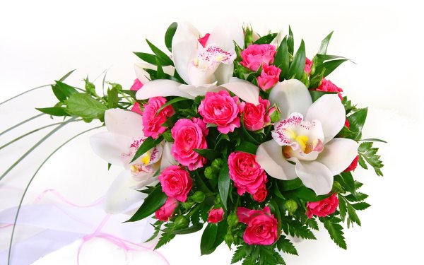 Фон для открытки