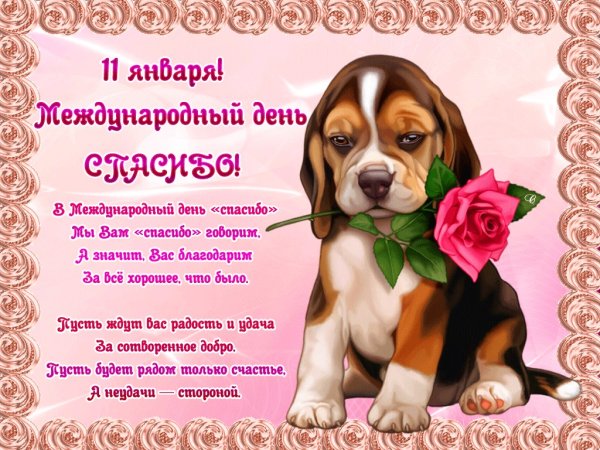 Международный день спасибо