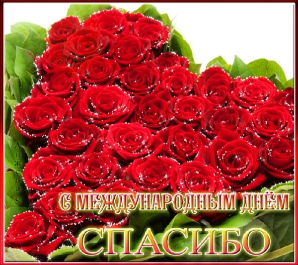 День спасибо