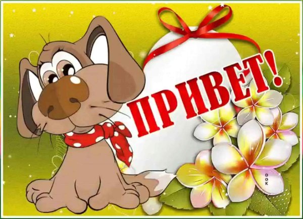 Открытки приветик