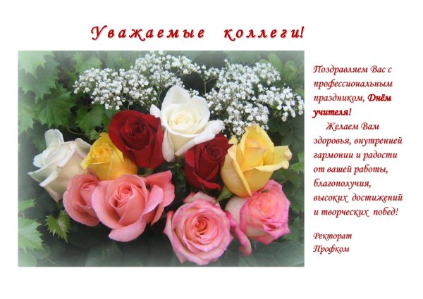 С профессиональным праздником картинки женщине