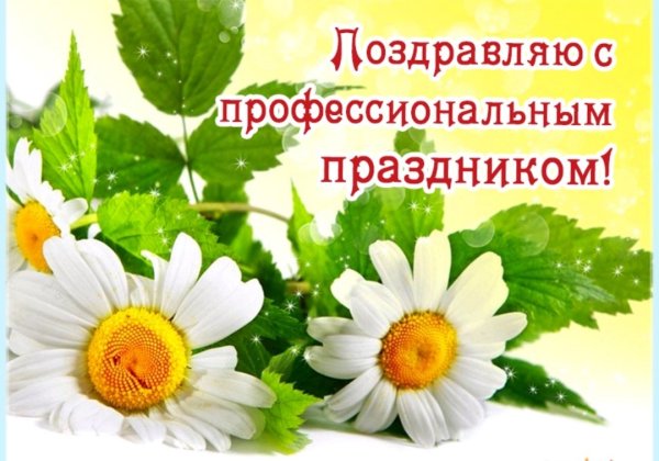 Поздравление с профессиональным праздником