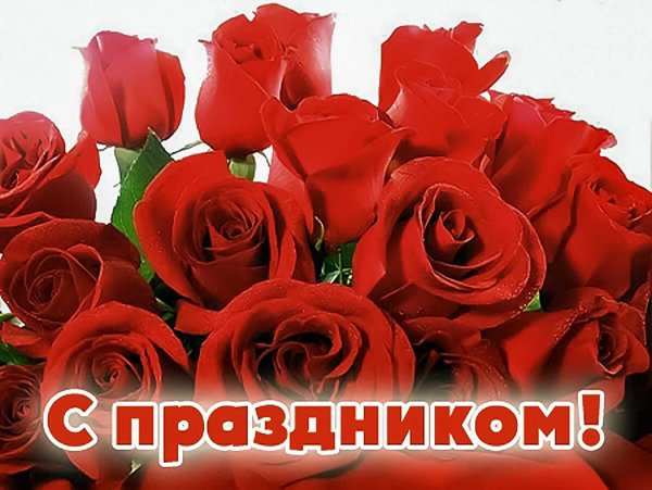 Поздравляю с профессиональным праздником