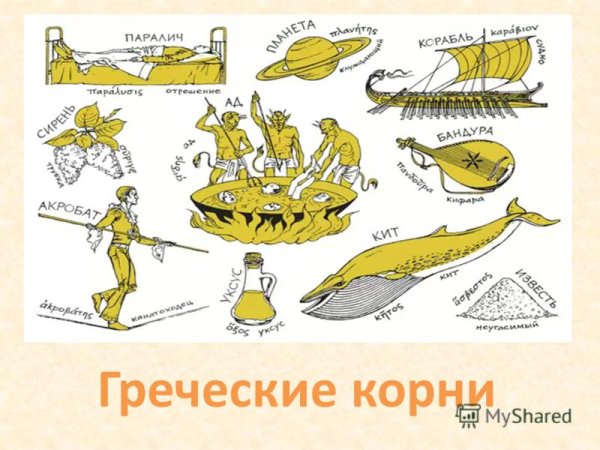 Заимствования из греческого языка