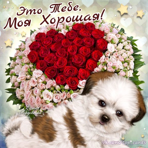 Для тебя моя хорошая