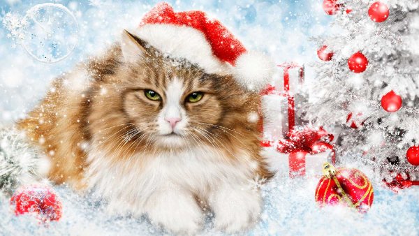 Новогодняя заставка