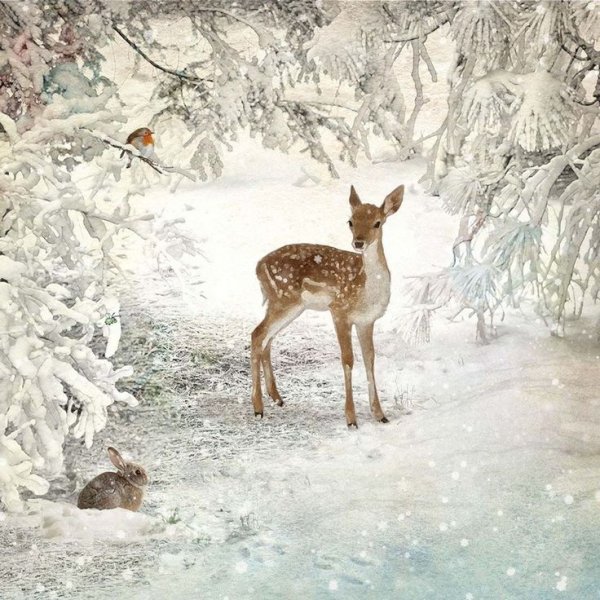 Художник Jane Crowther