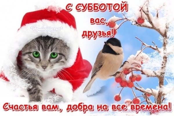 С добрым зимним субботним утром