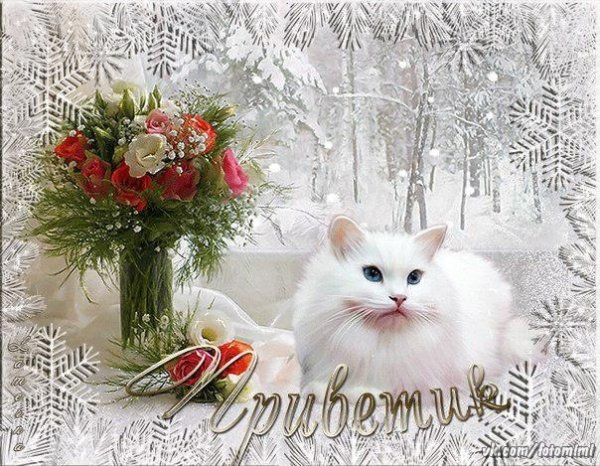Красивые зимние приветы