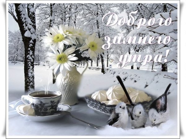 Пожелания с добрым зимним утром