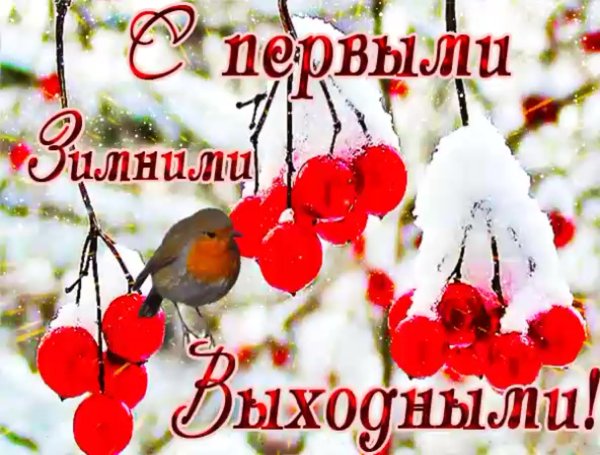 С первыми зимними выходными