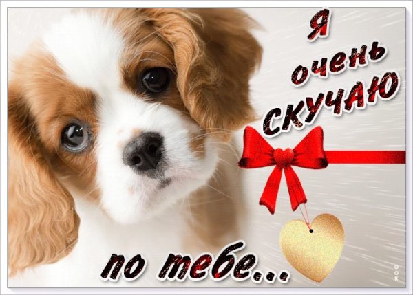 Скучаю по тебе