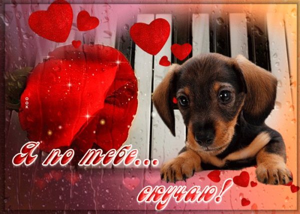 Я очень скучаю по тебе