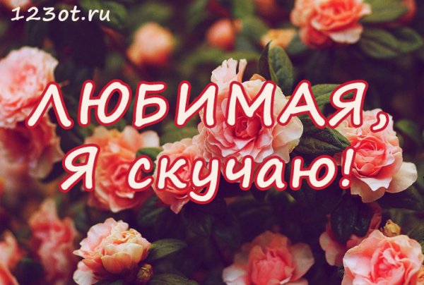 Скучаю любимой девушке