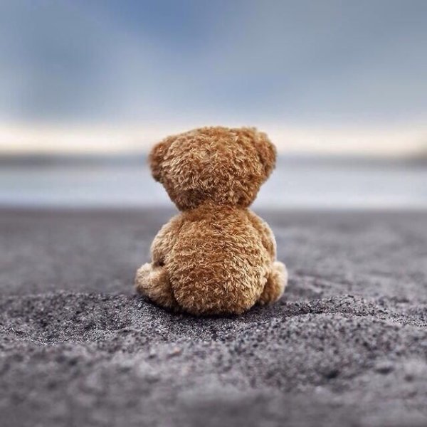 Одинокий мишка