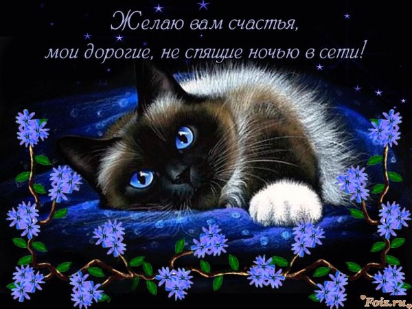 Спокойной ночи цветы