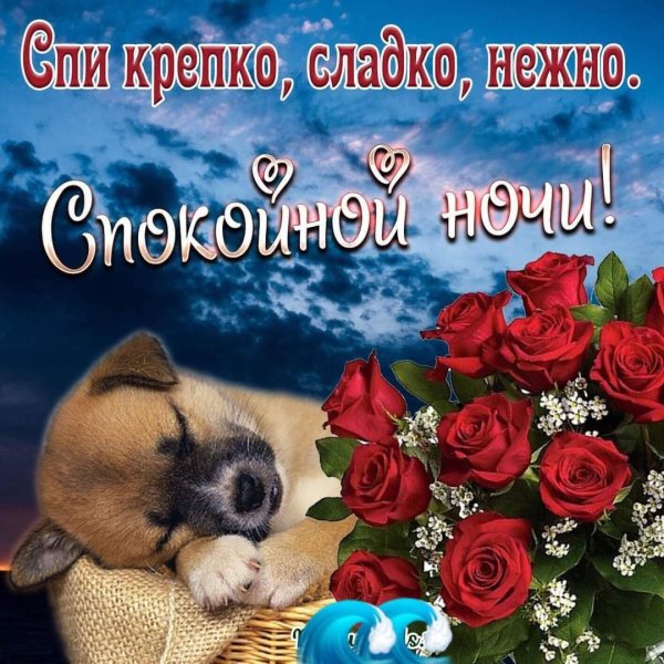 Спокойной ночи тебе