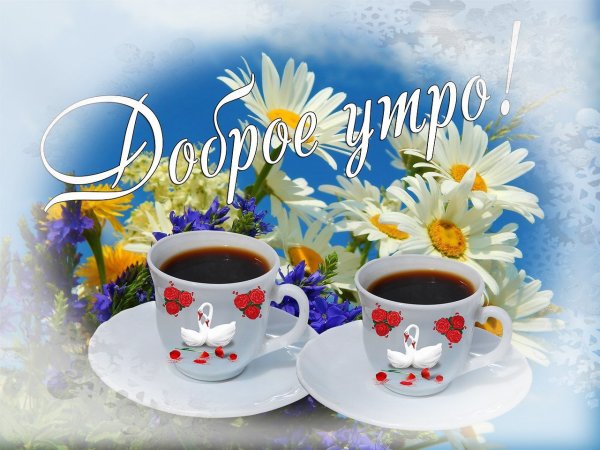 Красивые открытки с добрым утром мерцающие хэерле иртэ мерцающие