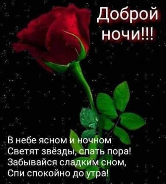 Спокойной ночи храни вас Господь