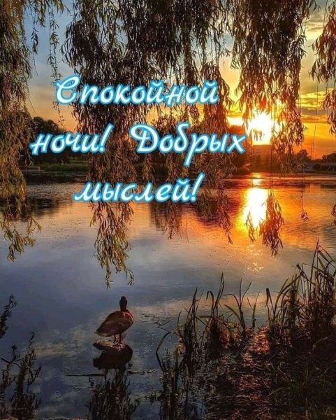 Доброго мирного вечера