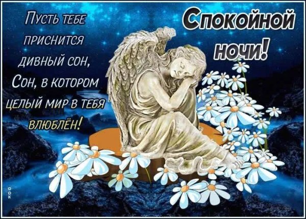 Спокойной ночи сладких снов ангел