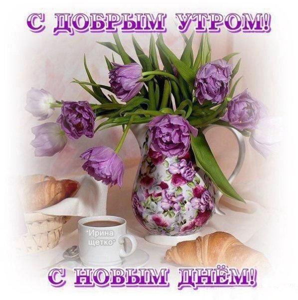 Утренние цветы с пожеланиями